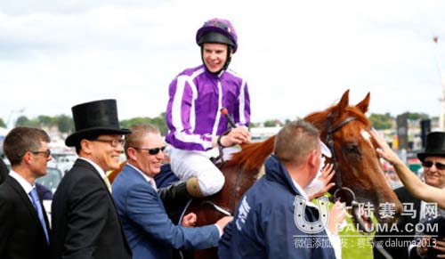 2014全球最佳赛马排名揭晓 中国杰士马主俱乐部旗下赛马名列三甲创历史 大陆赛马网.jpg