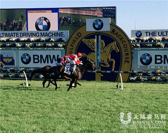 “蒙古可汗”强势问鼎300万澳币考菲尔德杯 剑指墨尔本杯