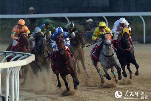 武汉国际赛马节圆满闭幕 16000市民涌入东方马城