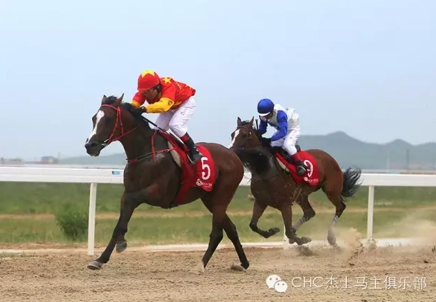 “北方大佬”(North Dakota, 5号马),骑师陈黎.jpg