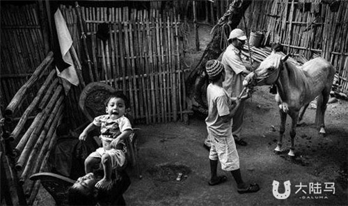 印尼岛民的怪诞行为 5岁小孩辍学赛马换微薄收入1.jpg