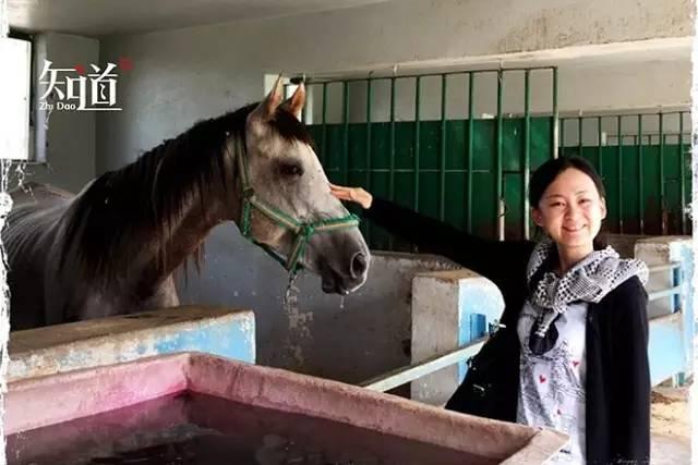 萨达姆曾经有多爱马 大陆赛马网.jpg