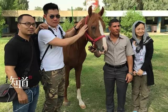 萨达姆曾经有多爱马 大陆赛马网2.jpg