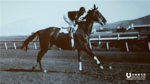 不可不知的墨尔本杯赛马节趣事 大陆赛马网7.jpg