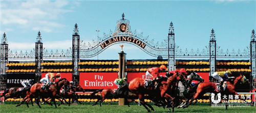 墨尔本杯赛马节“全民赌马,女人秀帽” 大陆赛马网.jpg