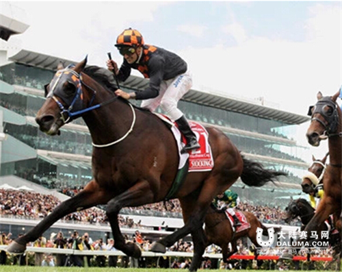 墨尔本杯赛马嘉年华Melbourne Cup 全攻略 大陆赛马网5.png