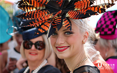 不可不知的墨尔本杯赛马节趣事 大陆赛马网.jpg