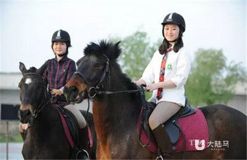 大学生眼中的马术
：有趣也神秘 社团活动增进了解