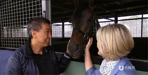 吴国树:赛马需要勇气和梦想1.jpg