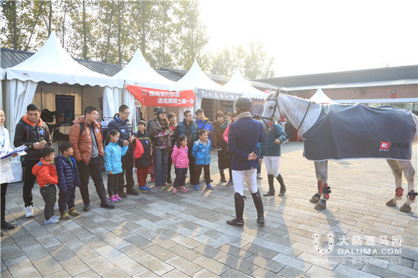 口碑获赞！第二届北京马协未来之星马术大赛完美谢幕