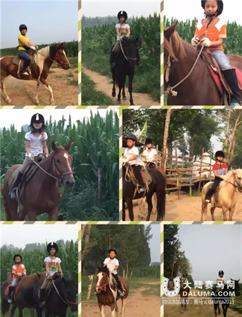 骑骏马  睡火炕 2016乐道马术冬令营启动