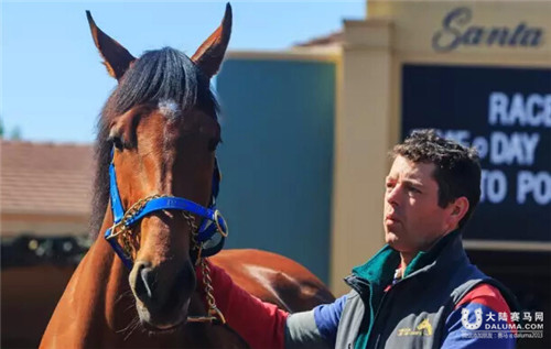 中国护照赛马“战鼓”美国锦标赛列三甲.jpg