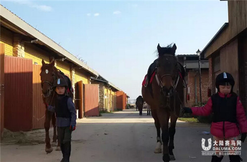 嘉丽泽马术冬令营6.jpg