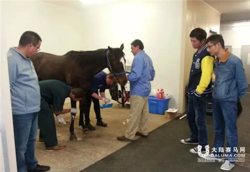 莱德马业兽医“三剑客”赴该国进修3.png