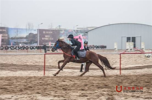 三盛国际马术俱乐部开放活动圆满落幕 大陆赛马网.jpg.png.jpg