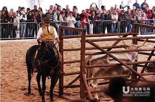 意大利传统的马文化的竟然也有牛仔文化.jpg