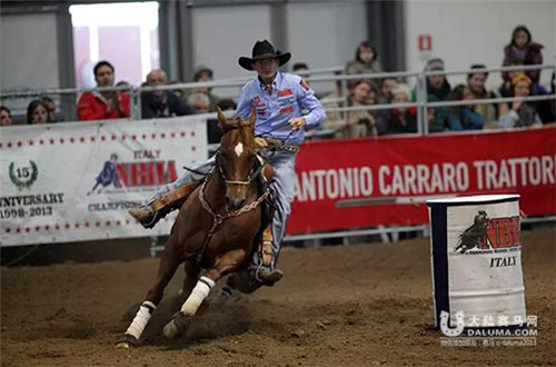 西部秀场(Westernshow)是维罗纳马展最让人期盼的表演活动之一.jpg