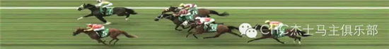 大陆赛马网.png