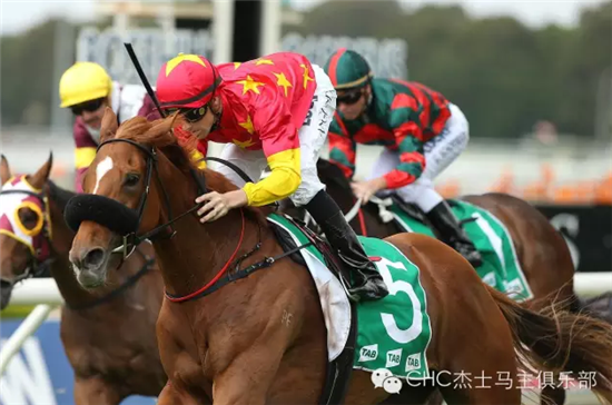 “嘉峪关”又赢了!大陆赛马网.png
