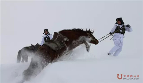 战士巡边不易，大雪中骑马前行