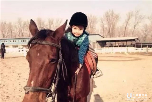 西部森林亲子马术冬令营火热招募中.jpg
