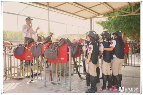 西部森林亲子马术冬令营火热招募中1.jpg