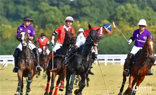 2015年浙江九龙山马术嘉年华完美落幕