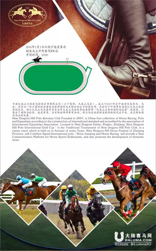 江浙沪速度赛马精英马主2016元旦九龙山马会激情上演