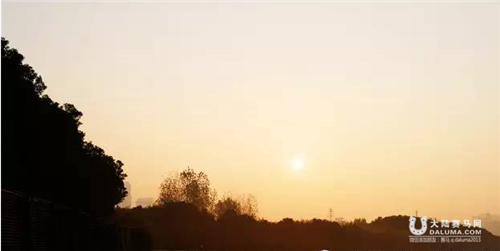 晨操练兵忙	：2015武汉速度赛马公开赛年度总决赛蓄势待发