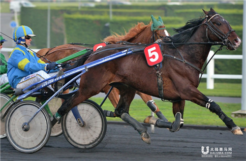 “ 速步马之王”—— 法国快步马.jpg