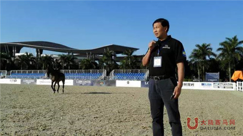 马术中巡赛：青少年骑手成长的摇篮，职业骑手的竞技场