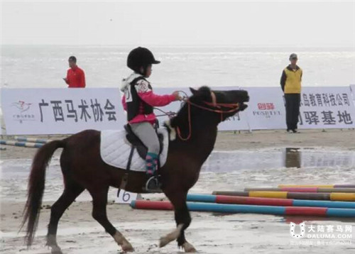 2015广西马术锦标赛金滩站开赛5.jpg