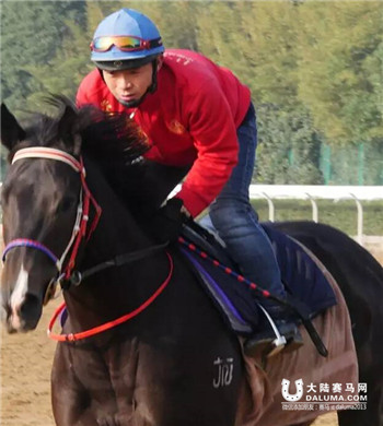 “宝刀未老” 赛前名将专访:速度赛马 不言悔2.jpg