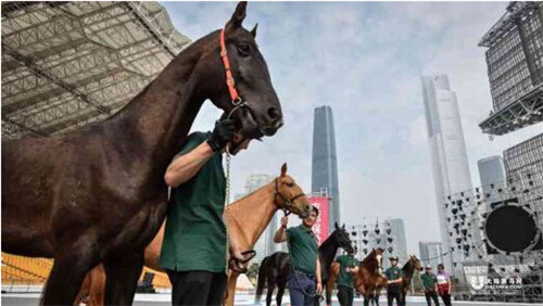 天马再驾临羊城 拉开南北马业合作新序幕1.jpg