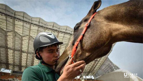 天马再驾临羊城 拉开南北马业合作新序幕2.jpg