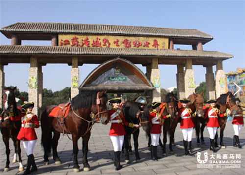 常州淹城动物园将建马术俱乐部：打造全省最大青少年马术培训基地