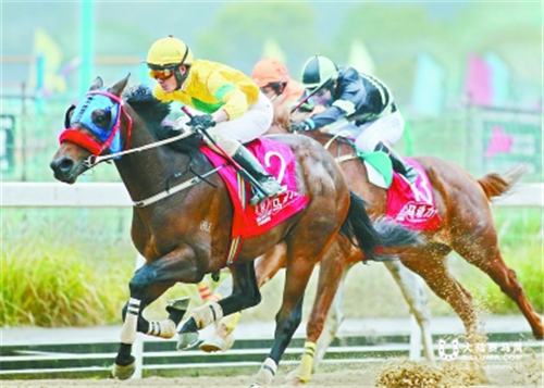 武汉速度赛马收官 两千多马迷冒雨观战