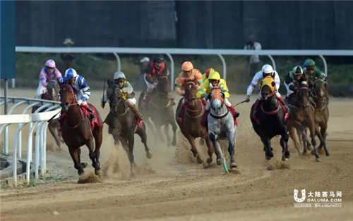 2015武汉速度赛马公开赛年度总决赛赛后完全点评
