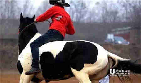 百万宝马齐聚仪征青马车寨