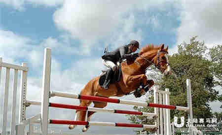 马匹产生疲劳信号 观察马匹状态避免潜在伤病