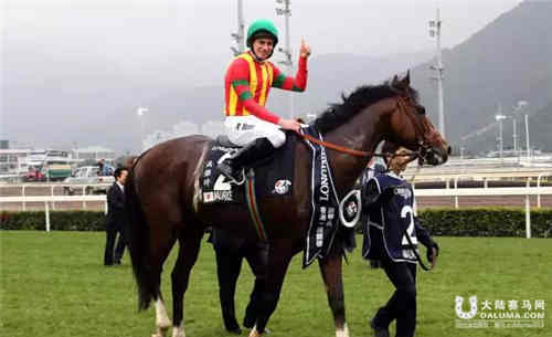 浪琴表香港国际赛马落幕 日本赛驹大放异彩.jpg
