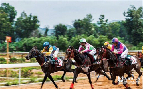 中信嘉丽泽国际马术年度会员总决赛、马主配对赛发布会即将开启