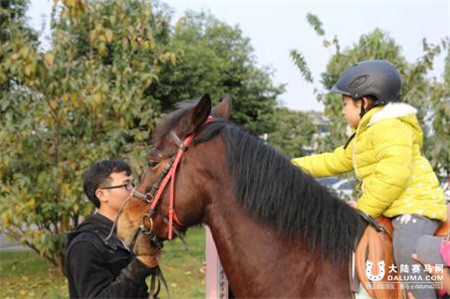 “马医生”走进四川康复中心 助力残障儿童康复训练