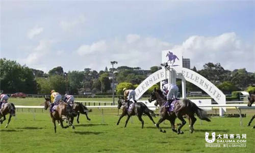 麒麟马业冠名赞助新西兰赛马比赛.jpg
