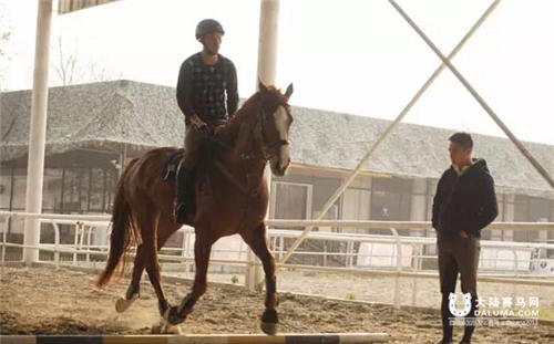 成都市残障马术康复协会授予天骁马术为康复培训合作单位