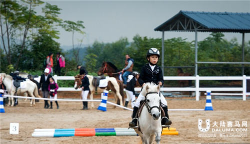 广西马术锦标赛总决赛落幕 选手邕城展马术风采
