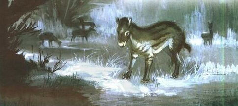 全球变暖将导致马儿变小	！科学家无法解释其原因