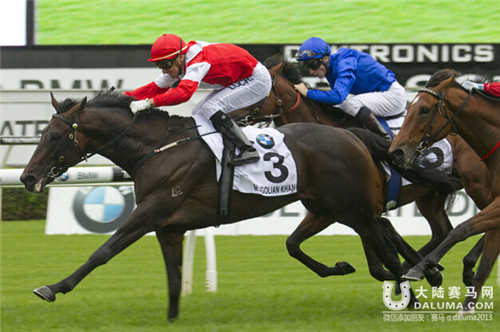 “蒙古可汗”开始备战奖金400万澳元“女皇伊丽莎白锦标赛”.jpg