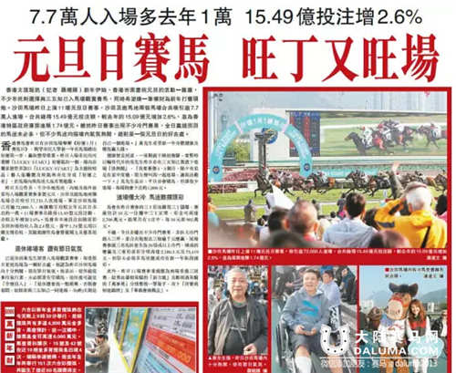 香港元旦贺岁赛马 7.7万人入场15.49亿投注额.jpg