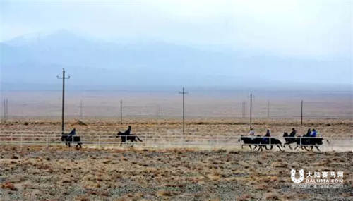 甘肃肃北冬季民间赛马会展示草原马文化